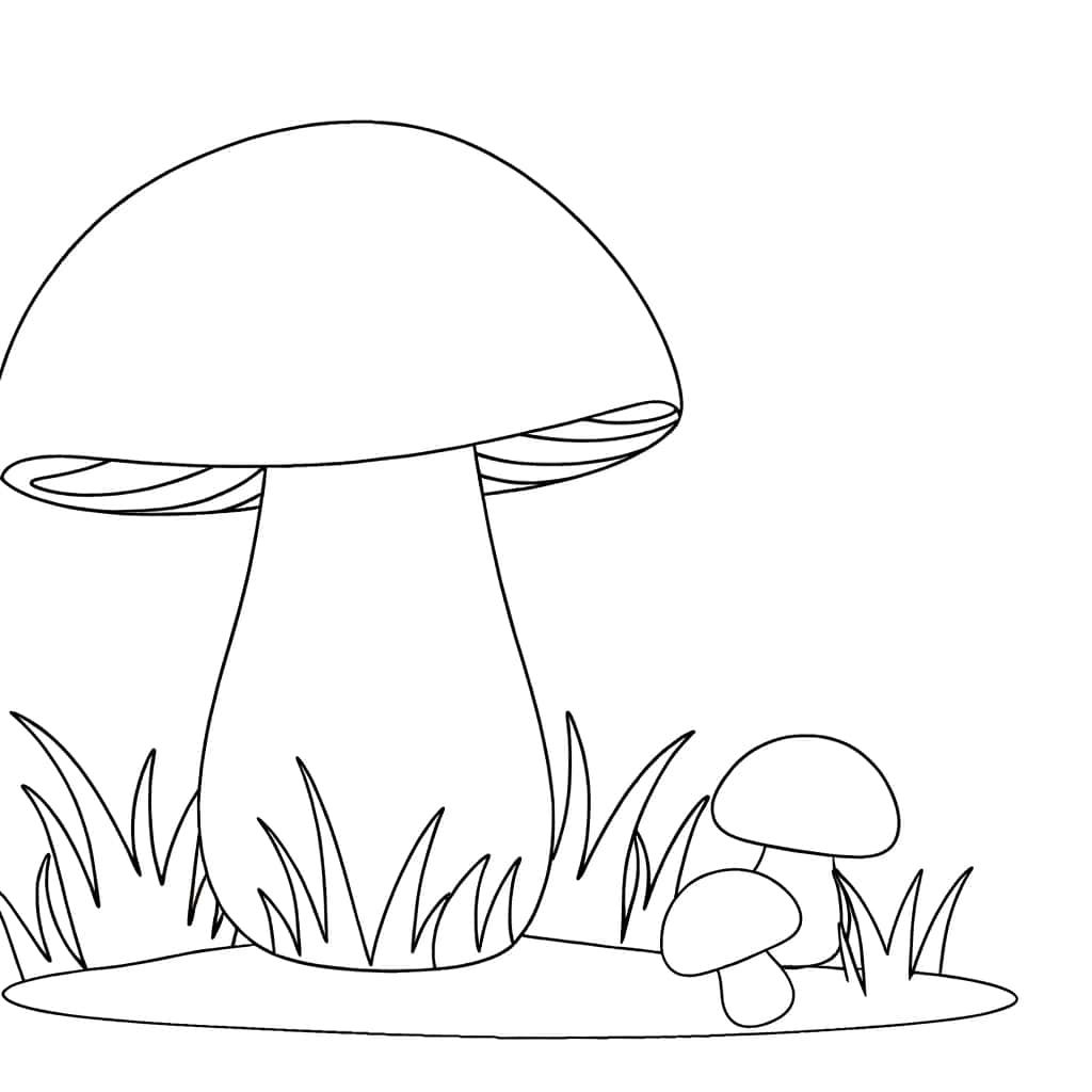 Champignons en herbe