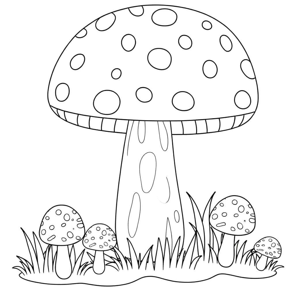 Champignons géants