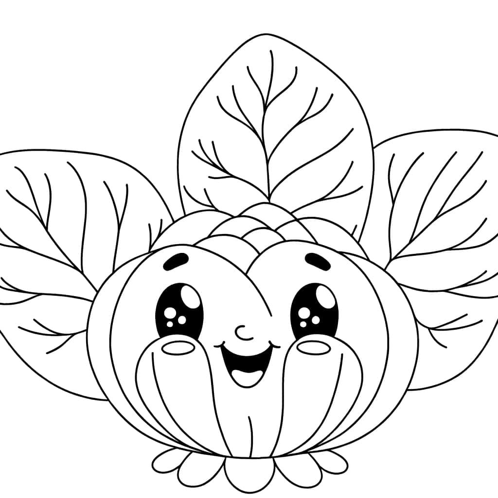 Chou souriant