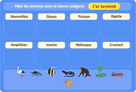 Classification des espèces niv 2 