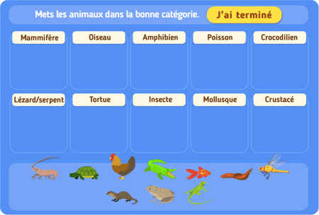 Classification des espèces niv 3 