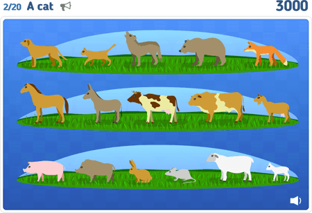 Animals lvl 1