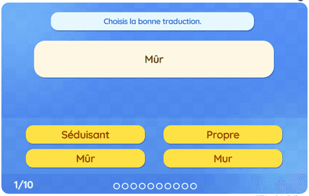 Les adjectifs niv 2