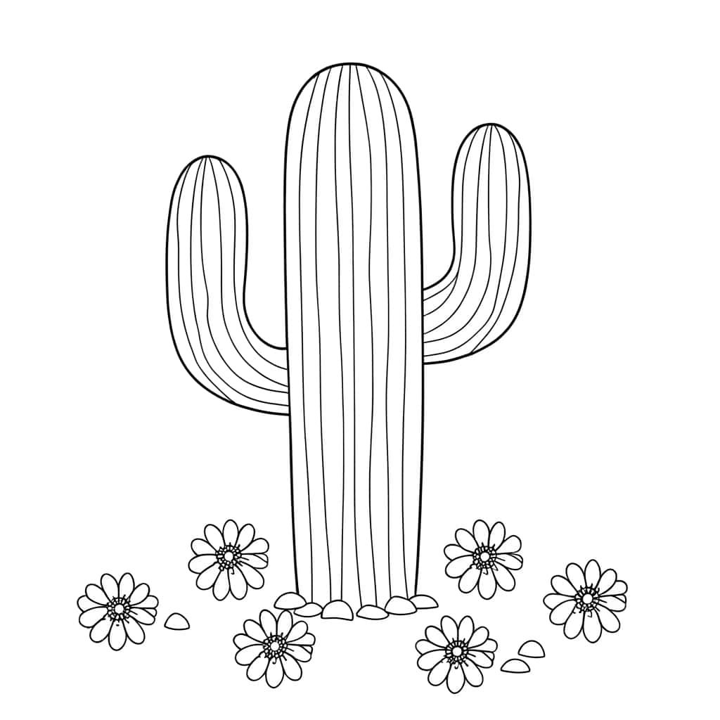 Cactus désertique