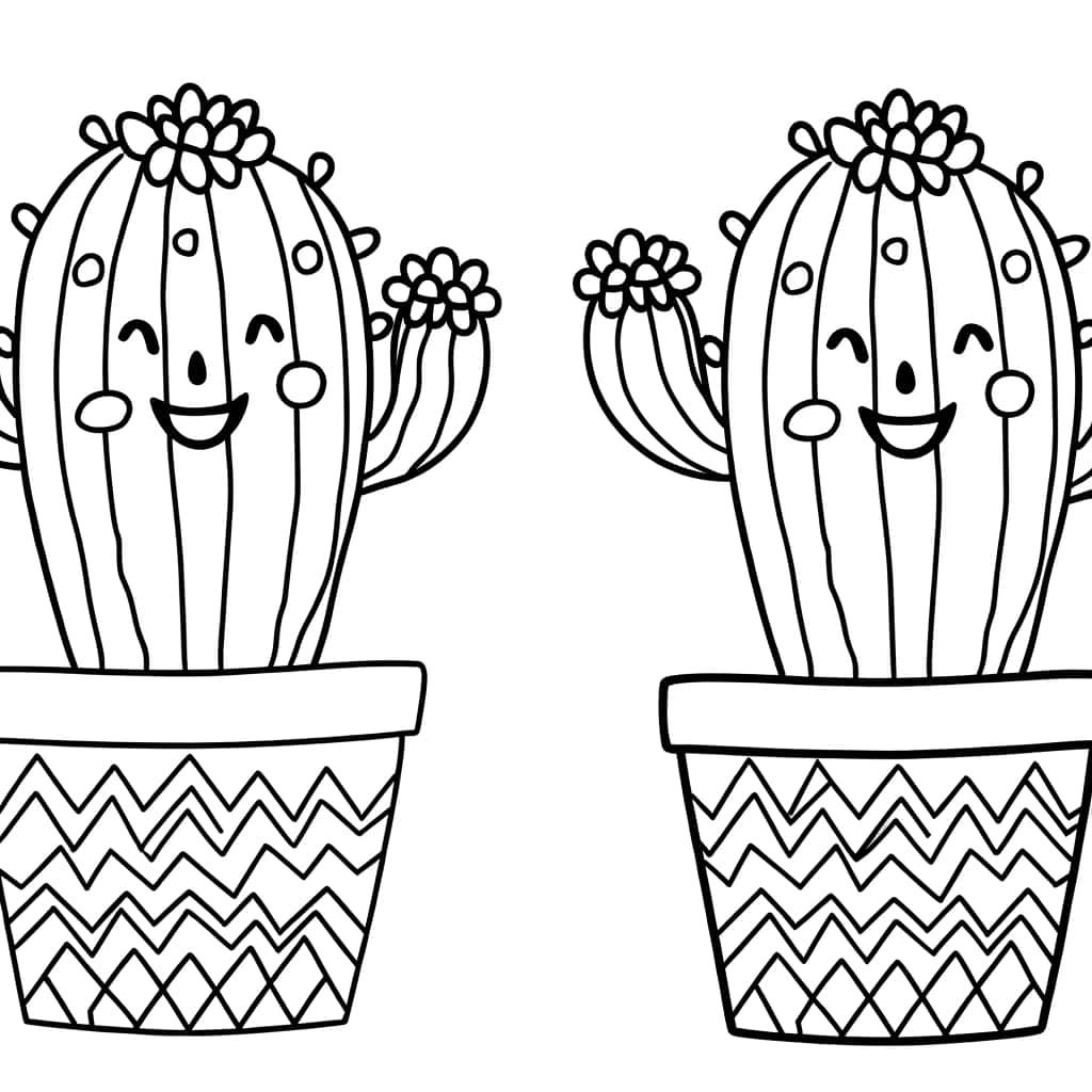 Cactus souriants