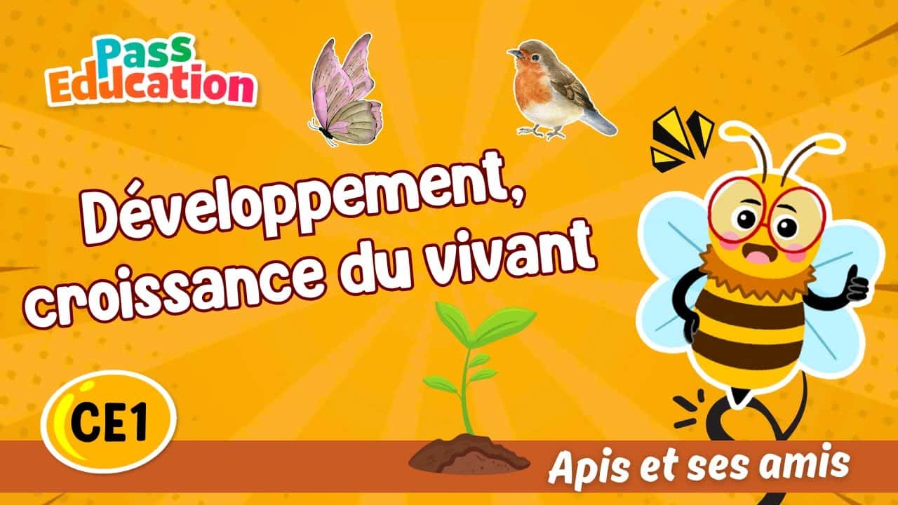 Développement, croissance du vivant - Apis & ses amis