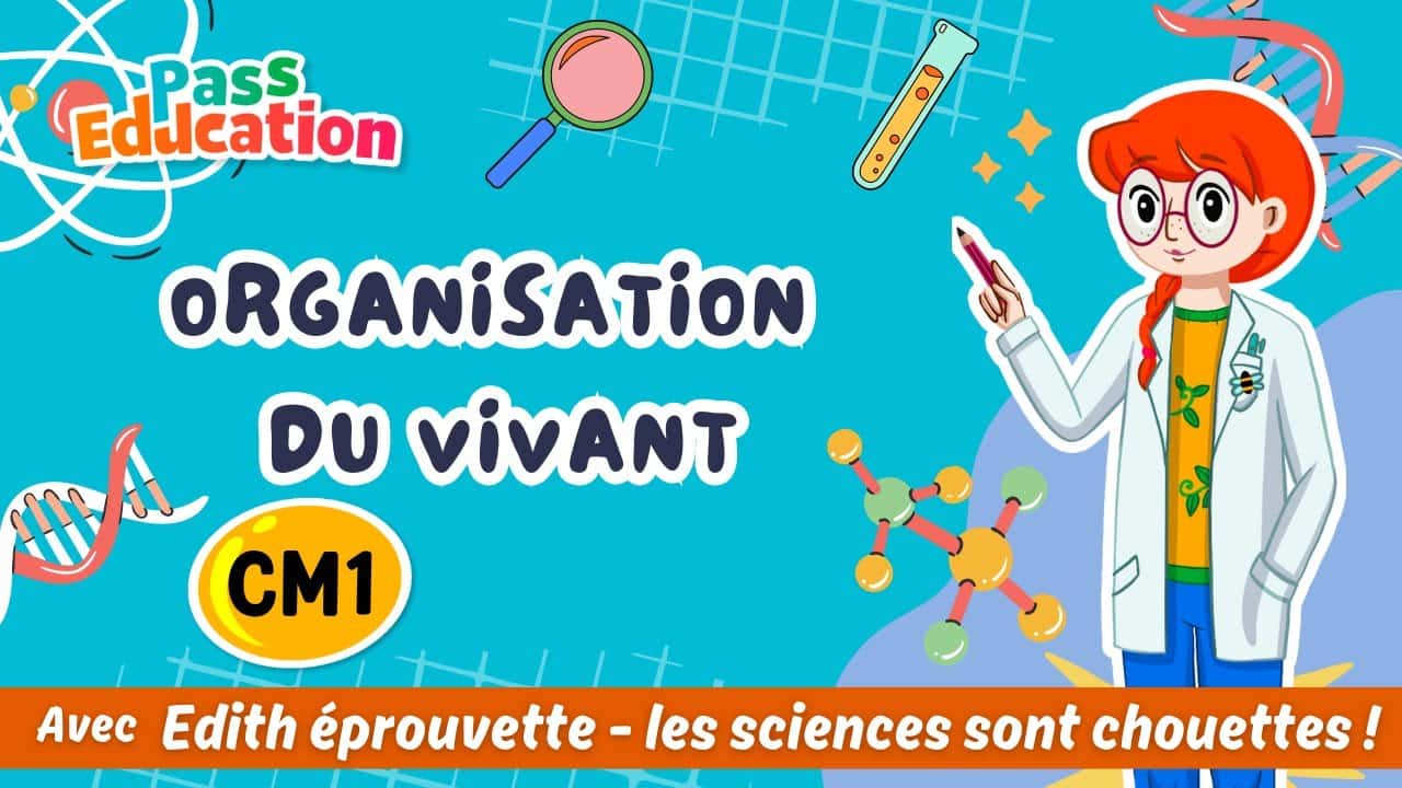 Organisation du vivant - Edith Eprouvette