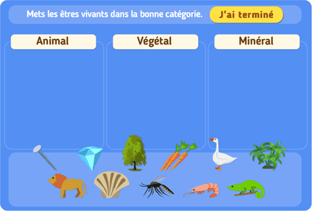 Animal, végétal ou minéral ? 