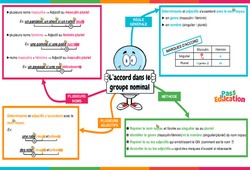 L'accord dans le groupe nominal - Vidéo pédagogique interactive - CE2, CM1, CM2 à 6ème