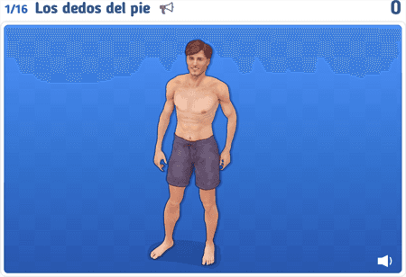 El cuerpo humano 1