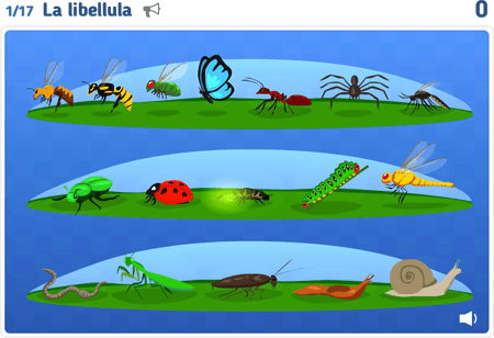 Gli animali 3 : insetti e altri