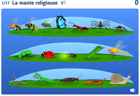 Les animaux niv 3 : Insectes et autres 