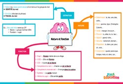 Nature et fonction - Vidéo pédagogique interactive - CE2, CM1, CM2 à 6ème