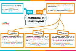 Phrases simples et phrases complexes - Vidéo pédagogique interactive - 5ème, 4ème, 3ème