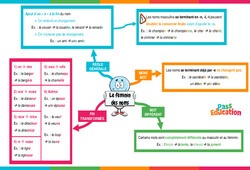 Le féminin des noms - Vidéo pédagogique interactive - CE2, CM1, CM2 à 6ème