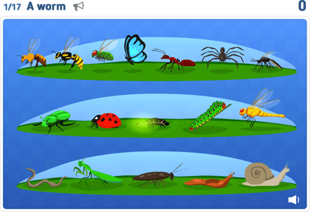 Animals lvl 3 : Insects and others