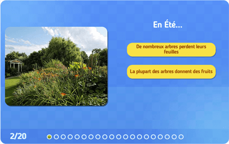 Quiz : Les saisons 