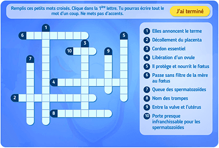 Mots croisés : Fécondation et grossesse