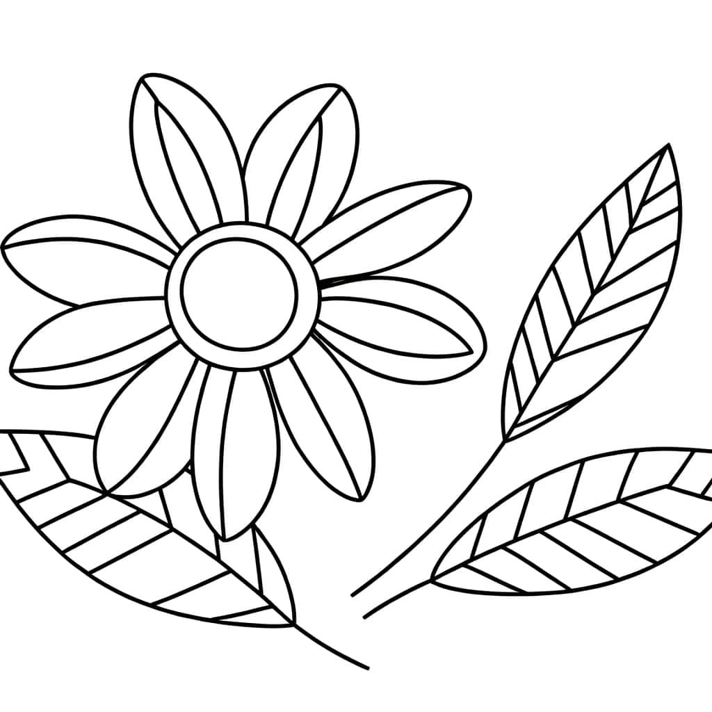 Fleur et feuilles
