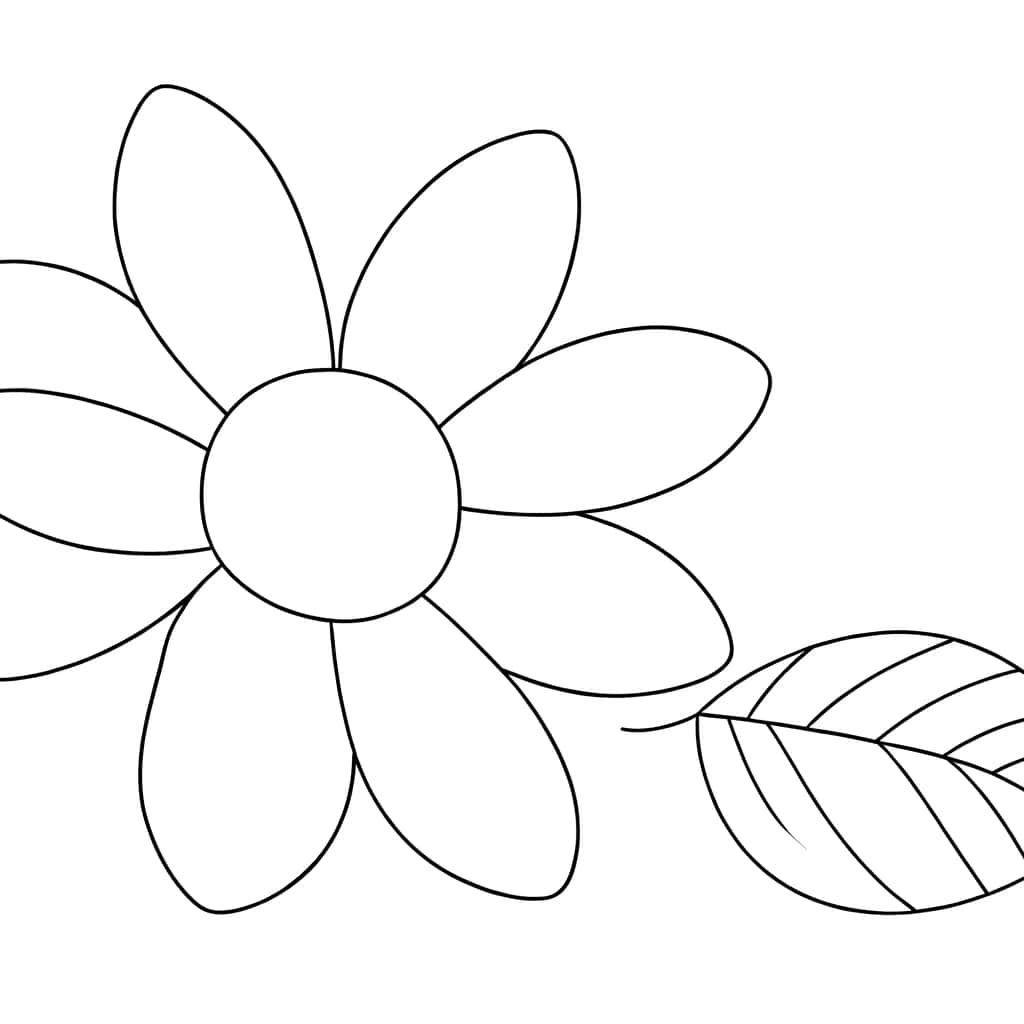 Fleur simple