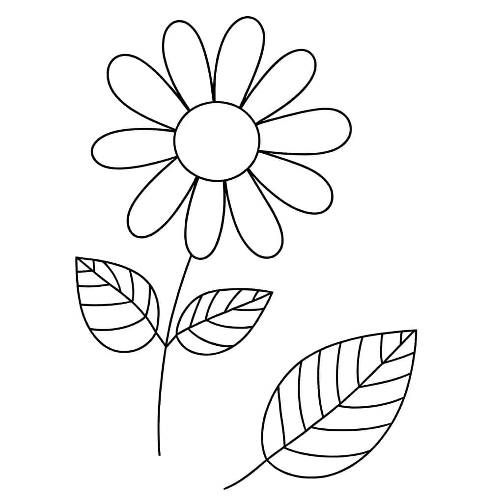 Fleur simple
