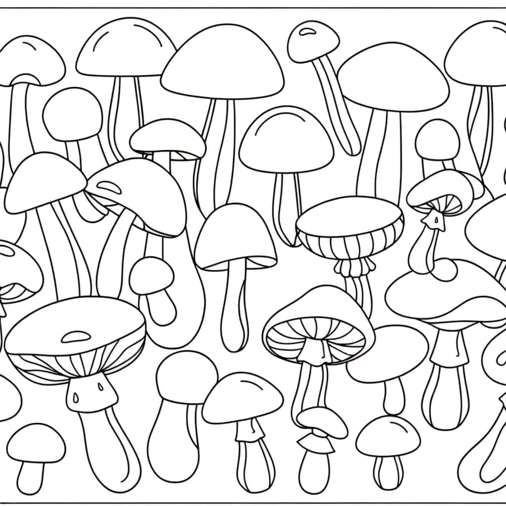 Forêt de champignons