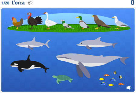 Gli animali 1
