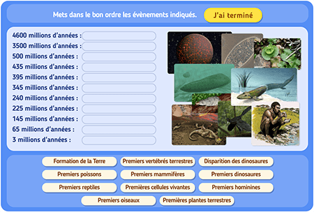 Histoire de la vie sur Terre : chronologie