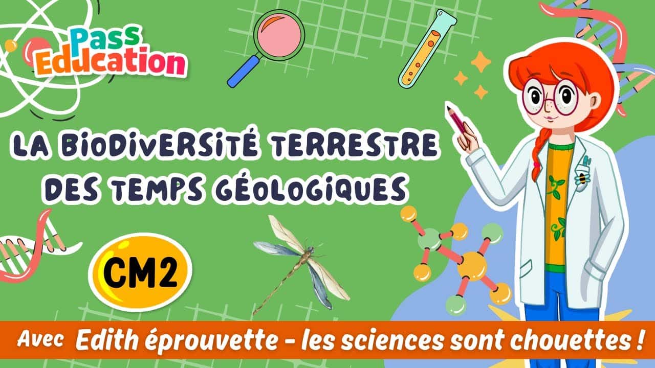 La biodiversité terrestre des temps géologiques - Edith Eprouvette