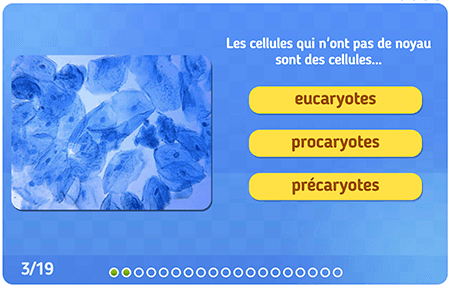 La cellule et les êtres vivants niv 2