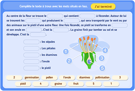 La reproduction des plantes
