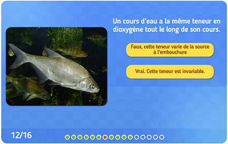 La respiration en milieu aquatique