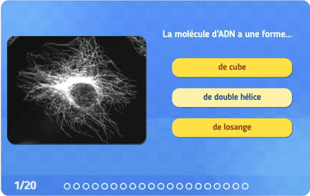 L'ADN : quiz niv 1