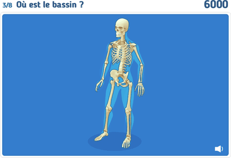 Le squelette niv 2