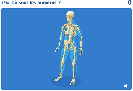 Le squelette niv 3