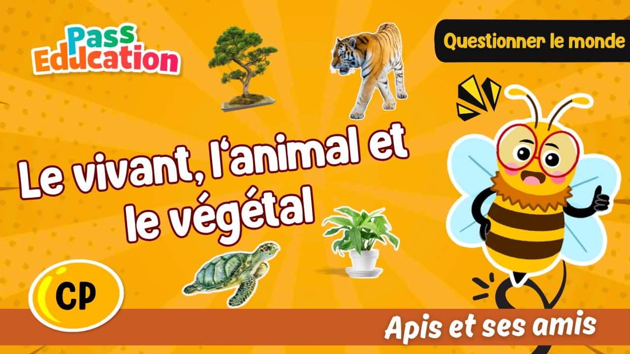 Le vivant, l’animal et le végétal - Apis & ses amis