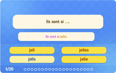 Les accords des adjectifs niv 1 