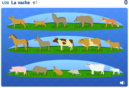 Les animaux niv 1 