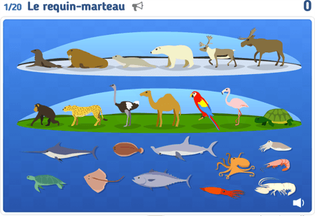 Les animaux niv 5 