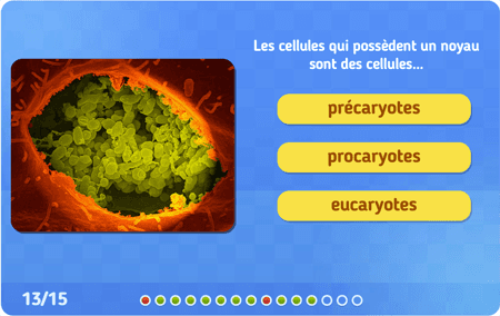 Les composants de la cellule