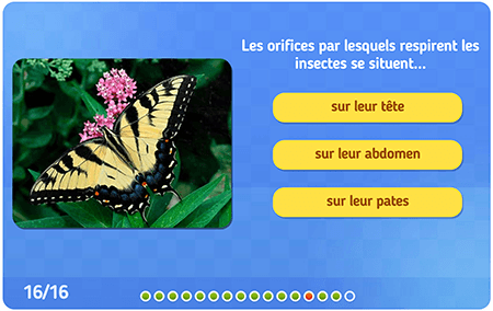Les différents modes de respiration