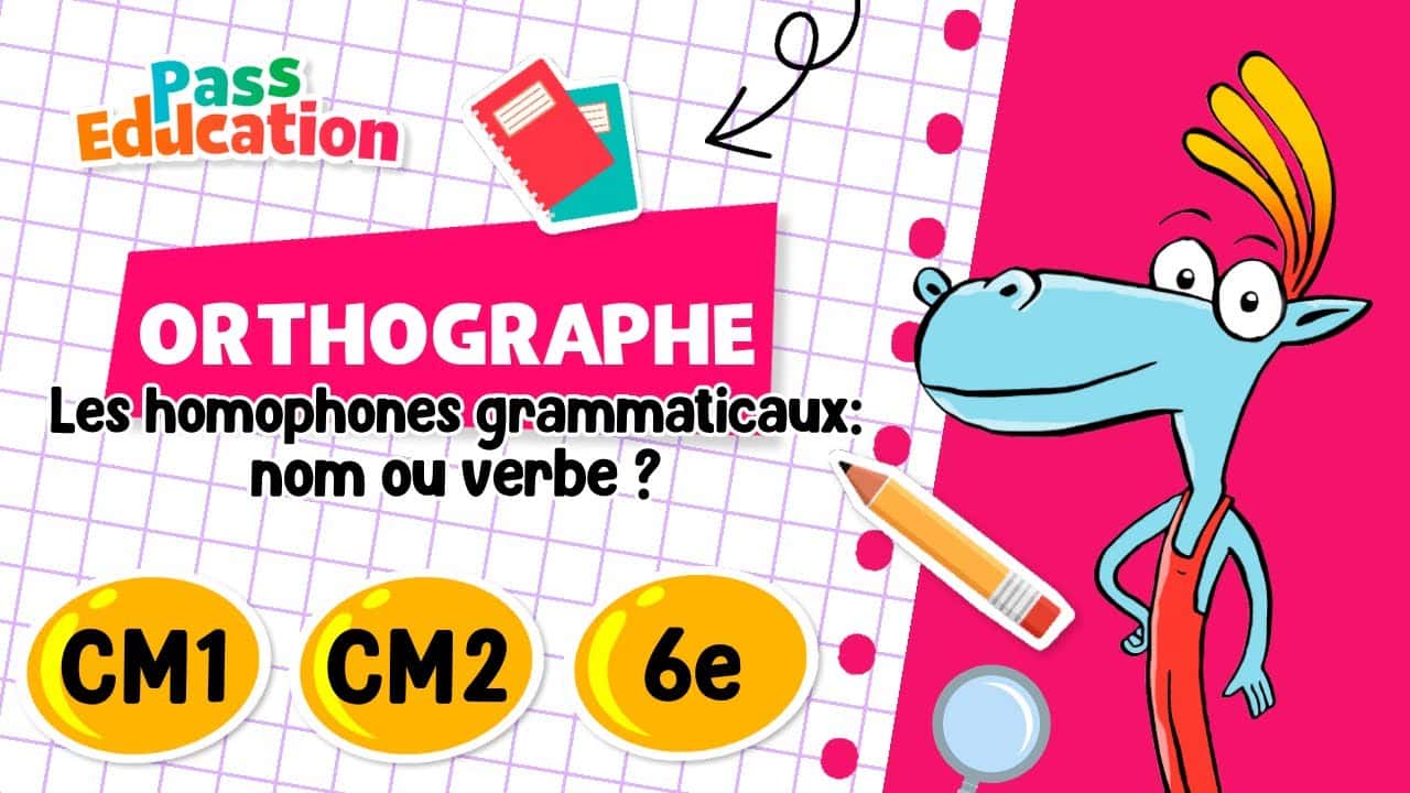 Les homophones grammaticaux: nom ou verbe ?