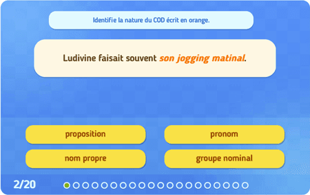 Les natures du C.O.D