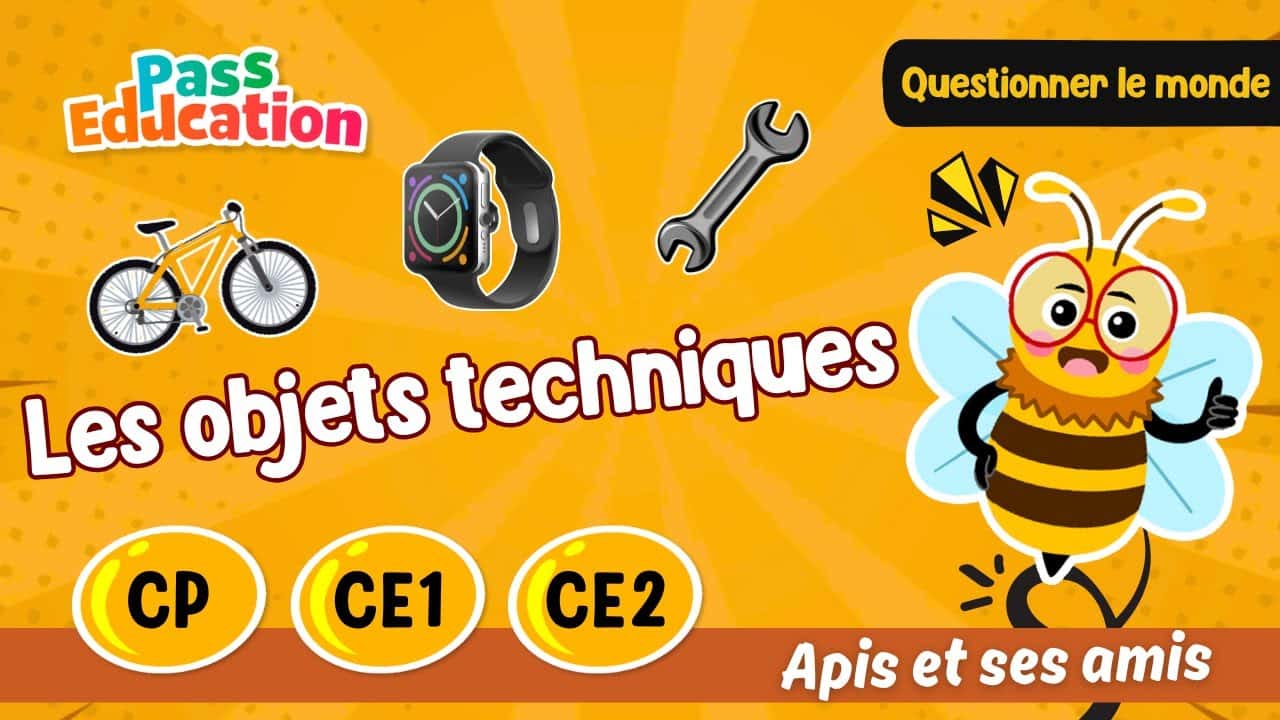 Les objets techniques - Apis & ses amis
