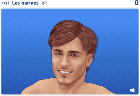 Les parties du visage 