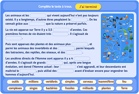 L'évolution des êtres vivants niv 1