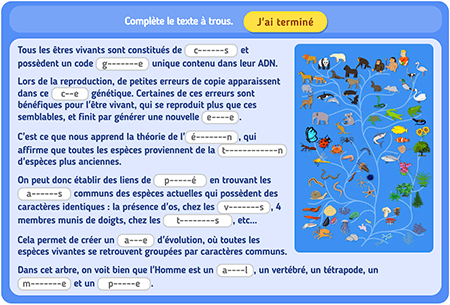 L'évolution des êtres vivants niv 2