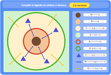 Schéma : Les espaces de l’urbanisation niv 2