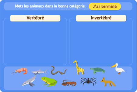 Vertébrés ou invertébrés ? 
